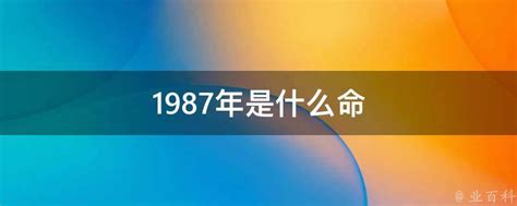 1987 五行|1987年属什么 1987年是什么命